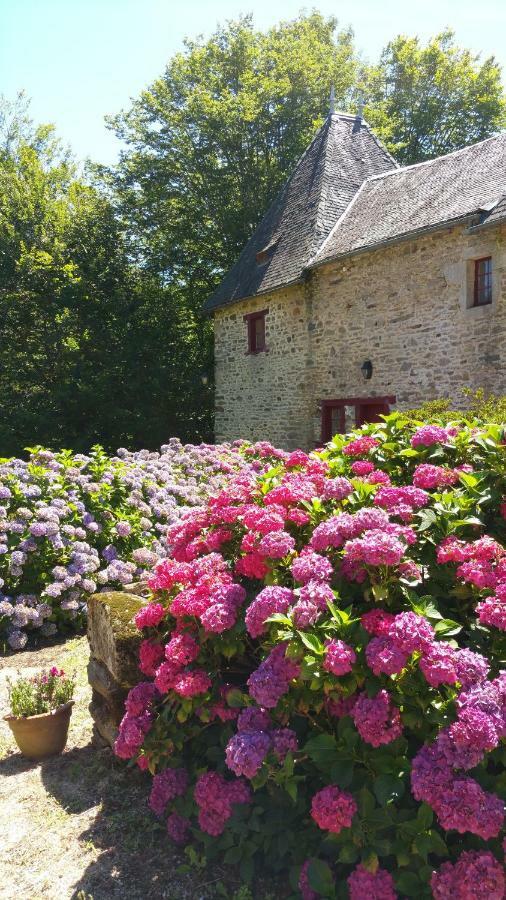 Chateau De Bellefond Lagraulière Kültér fotó