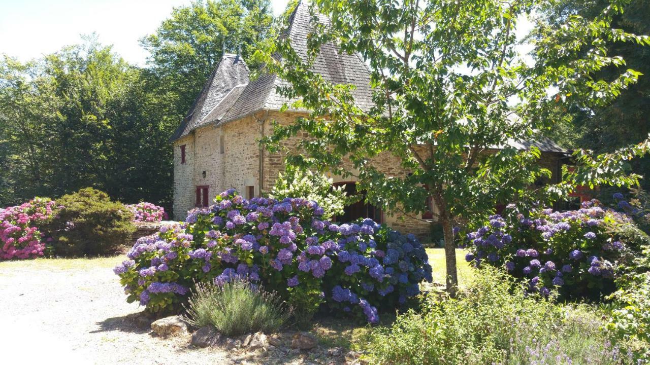 Chateau De Bellefond Lagraulière Kültér fotó